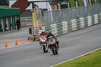 Advanced Group Silver_Grey Bikes